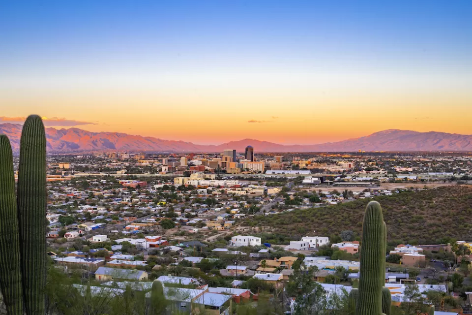 View of Tucson, Arizona at sunset with two saguaro cacti in foreground.